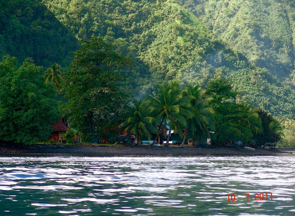 Tauhanihani Village Lodge La Vague Bleue Теахупоо Экстерьер фото