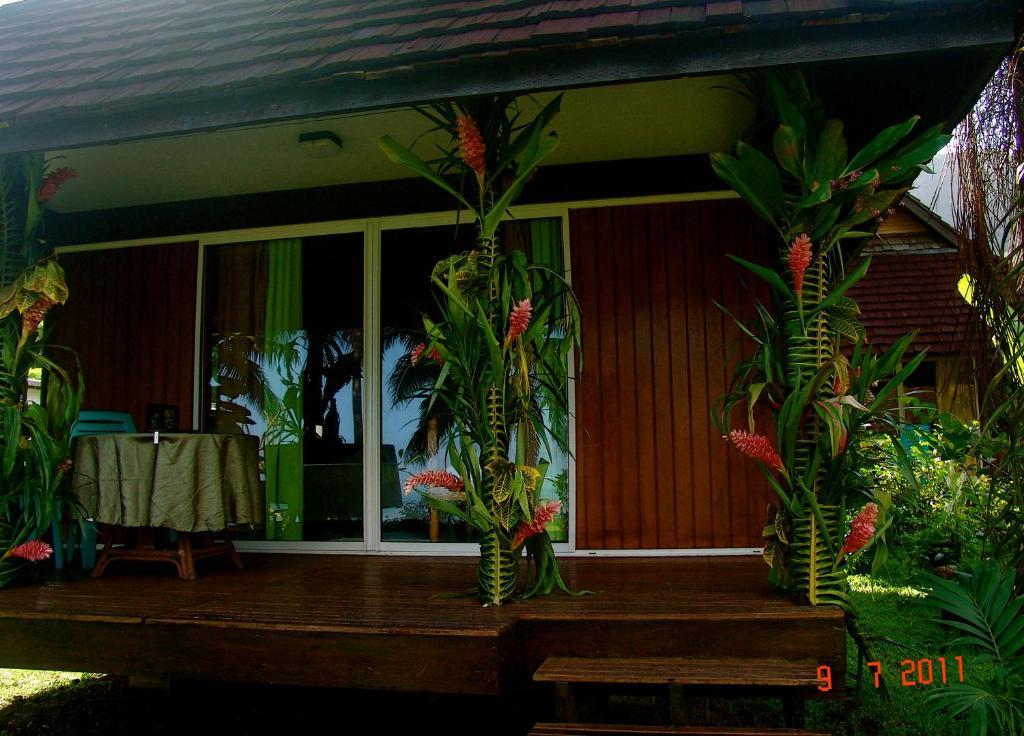 Tauhanihani Village Lodge La Vague Bleue Теахупоо Экстерьер фото
